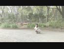 【海月】プラトニック・ラヴ踊ってみた