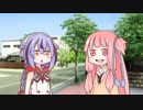 可愛い琴葉姉妹のパンジャン