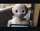 【愛王】LTLおとなりの秘密＆ペッパーくんと戯れる ~ 玉川学園駅前散策