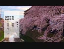 【緋惺誕生祭2019】誕生日 【緋惺】