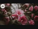 Dabin - Bloom (Lyrics) ft. Dia Frampton