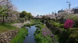 対人恐怖症の公園野宿旅【JR岐阜駅スタート⇨】