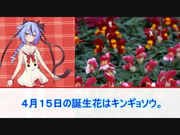 4/15花言葉【キンギョソウ】