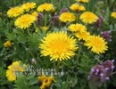 誕生日に贈る言葉～4月15日生まれの感受性豊かなあなたに－聴きものがたり