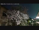 【生海月】なまくらじお【2019.4.15】