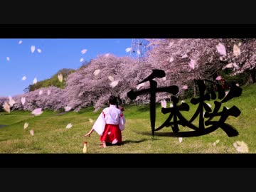【*ふく´ Д `ざわ*】千本桜  踊ってみた。【満開】