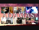 【 平成最後の誕生日にLiSA Coverしてみた 】ADAMAS  【 -Band cover- 】