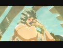 【実況】十五の掟で挑むブレスオブザワイルド～part.57～