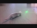レーザーポインター 猫用レッド グリーン レーザーポインター キーホルダー型