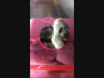 そうはならんやろ…