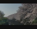 【初音ミク】 restart オリジナル曲