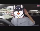 犬物YouTubeｒ 黒井しば