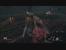 【SEKIRO: SHADOWS DIE TWICE 隻狼】「初見プレイ 方向音痴が忍ぶ」第16回