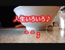 らーめん専門店じゃない旭川らーめん花房喰ってきた！