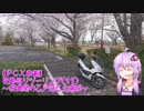 【PCX車載】　史跡巡りツーリング（１１）～桜満開の乙戸沼と土浦城～