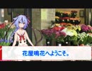 【劇場】4/16花屋鳴花【スノーフレーク】
