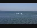 【鏡音リン】　きらら　【オリジナル】