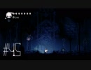 【第４５夜】眠れぬ夜のHOLLOW KNIGHT【実況】