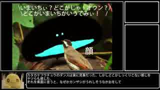 意味深クソバードからの脱却～極楽への渡し船.～（後編）