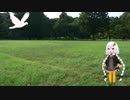 あかりちゃんと飛来する悲劇