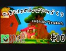 【Staxel】たまにはのんびり町づくりpart10