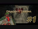 【実況】ドラゴンズドグマ　＃１【兵隊蟻】