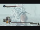 DarkSoulsII 三週目 白王の冠 01
