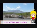 ＮＳ－１で行く！花見とランチツーリング