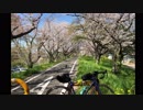 【ロードバイク車載】ゆかきりサイクリングpart6 白石峠　【１１５キロ】