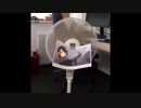 シンデレラミームズ劇場　その2