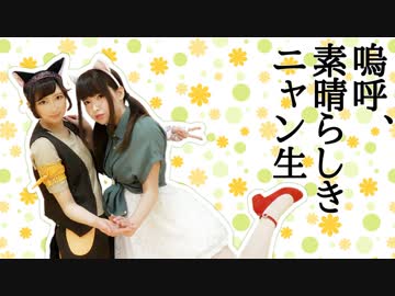 【えり×まつり】嗚呼、素晴らしきニャン生【踊ってみた】