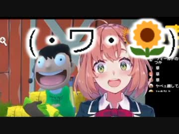 本間ひまわり　(・ワ・)