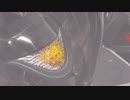 【EDFIR】雲海に落ちたスコージャー