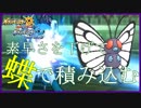 【ポケモンUSM】氷舞バタフリー　~無双の構え~
