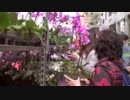 _A_KowloonFlowerMarket_　来馬哲二