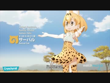 ホモと見る日本でしか人気ないアニメランキングTop10