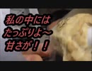 LAWSON　チョコチャンクスコーンを食べてみた。