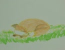 flower bird p4