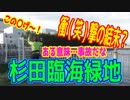 釣り動画ロマンを求めて 245釣目（杉田臨海緑地）