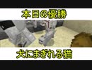 地底人と天空人が逝く 命がけMinecraft part13