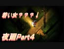 酔いどれお姉さんに追い掛け回された夜廻Part４