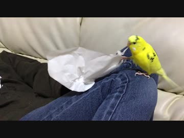 ぼくは、こいつをやっつける(￣∀￣)