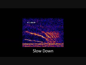 【実はほぼ解明済み】海中に響く怪音【ブループ・ホイッスル・アップスイープ他 原音】