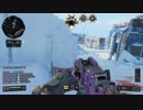 【COD BO4】装備頼りの対人戦171【TDM100】