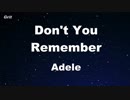 Don't You Remember - Adele Karaoke 【With Guide Melody】