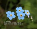 誕生日に贈る言葉～4月18日生まれのまじめで几帳面なあなたに－聴きものがたり