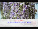 憎き害虫をコロコロするフラワーナイトガール　Part128
