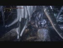 【レベル544】カンスト狩人三週目攻略【Bloodborne】　27