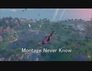 Fortnite montage - Never Know