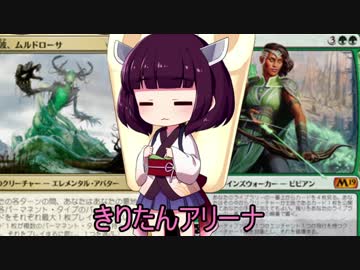きりたんアリーナ【MTGアリーナ】　３３杯目